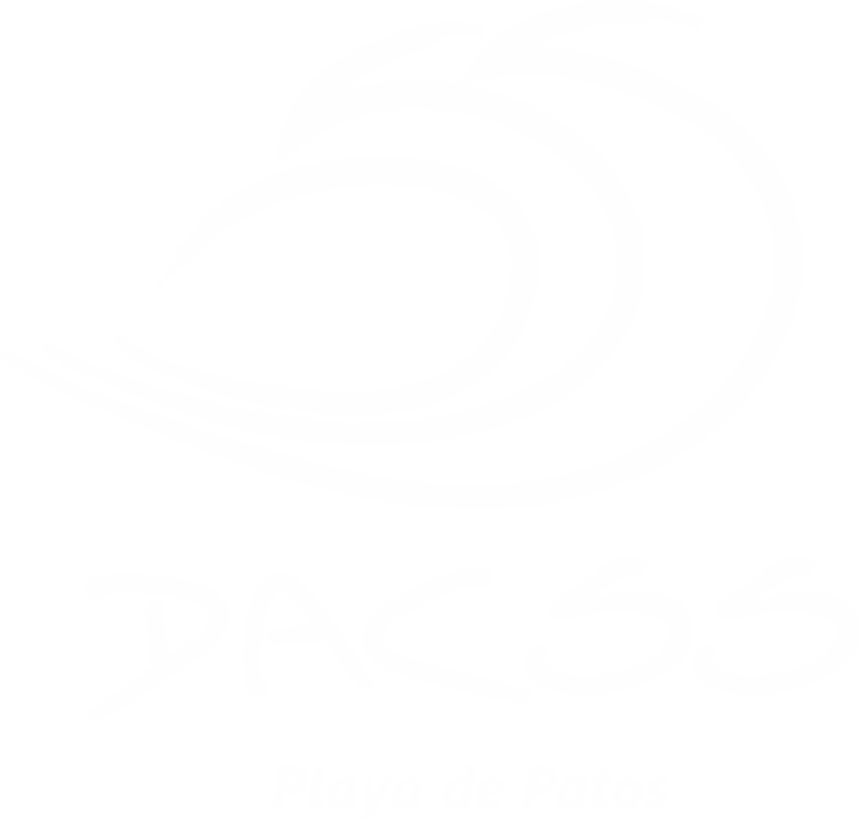 DACSS – Escuela de Surf – Nigrán – Vigo – Galicia